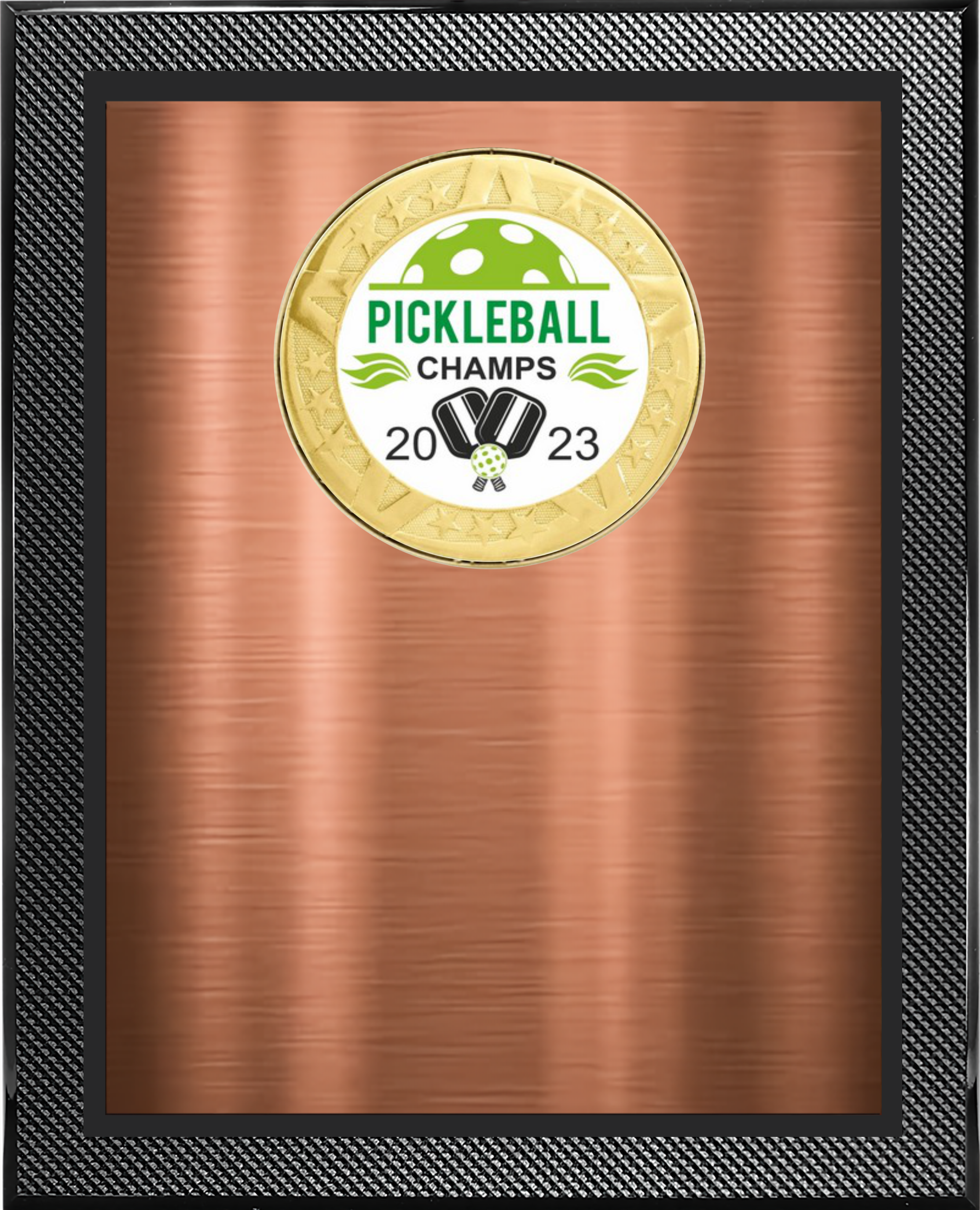 Piano Carbon Fiber Plaque w/Medallion Over Double Plate 4