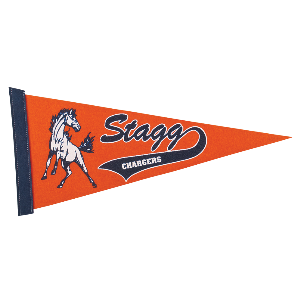 8" x 18" Colored Felt Pennant 21