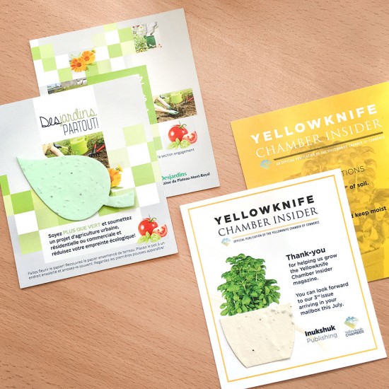 Double-Sided Custom Flat Card With Shape 3