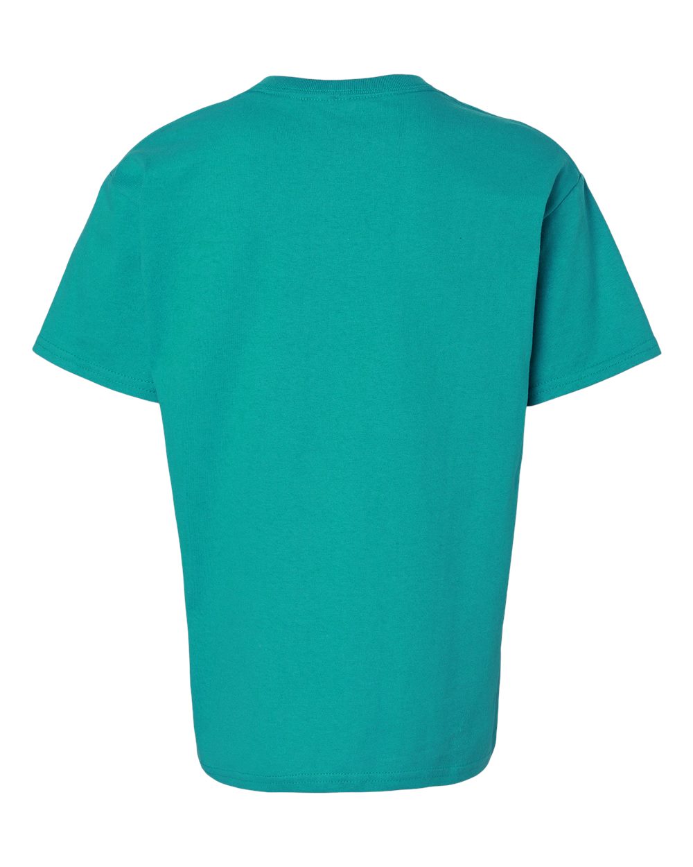 Youth Ultra Cotton® T-Shirt - 2000B 208
