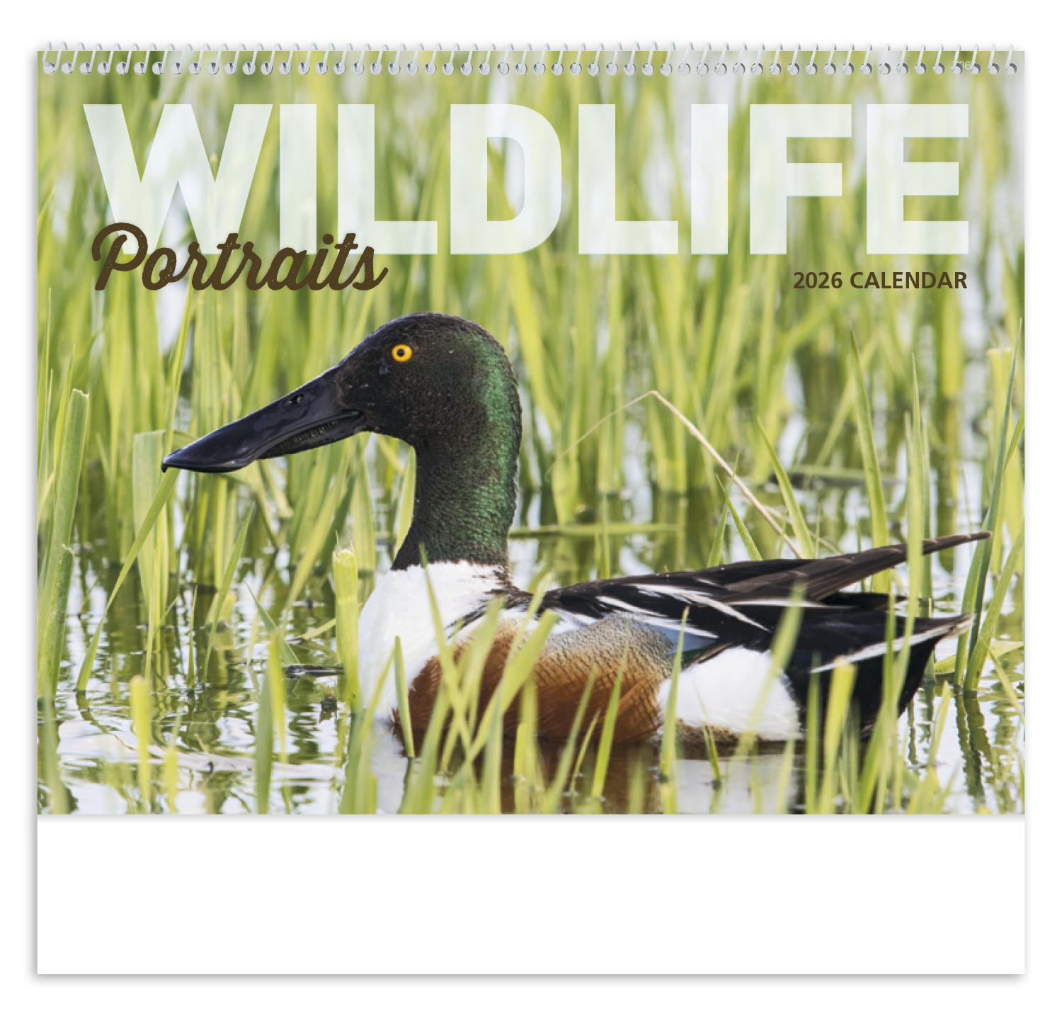 Good Value™ Wildlife Portraits - Spiral Calendar 42