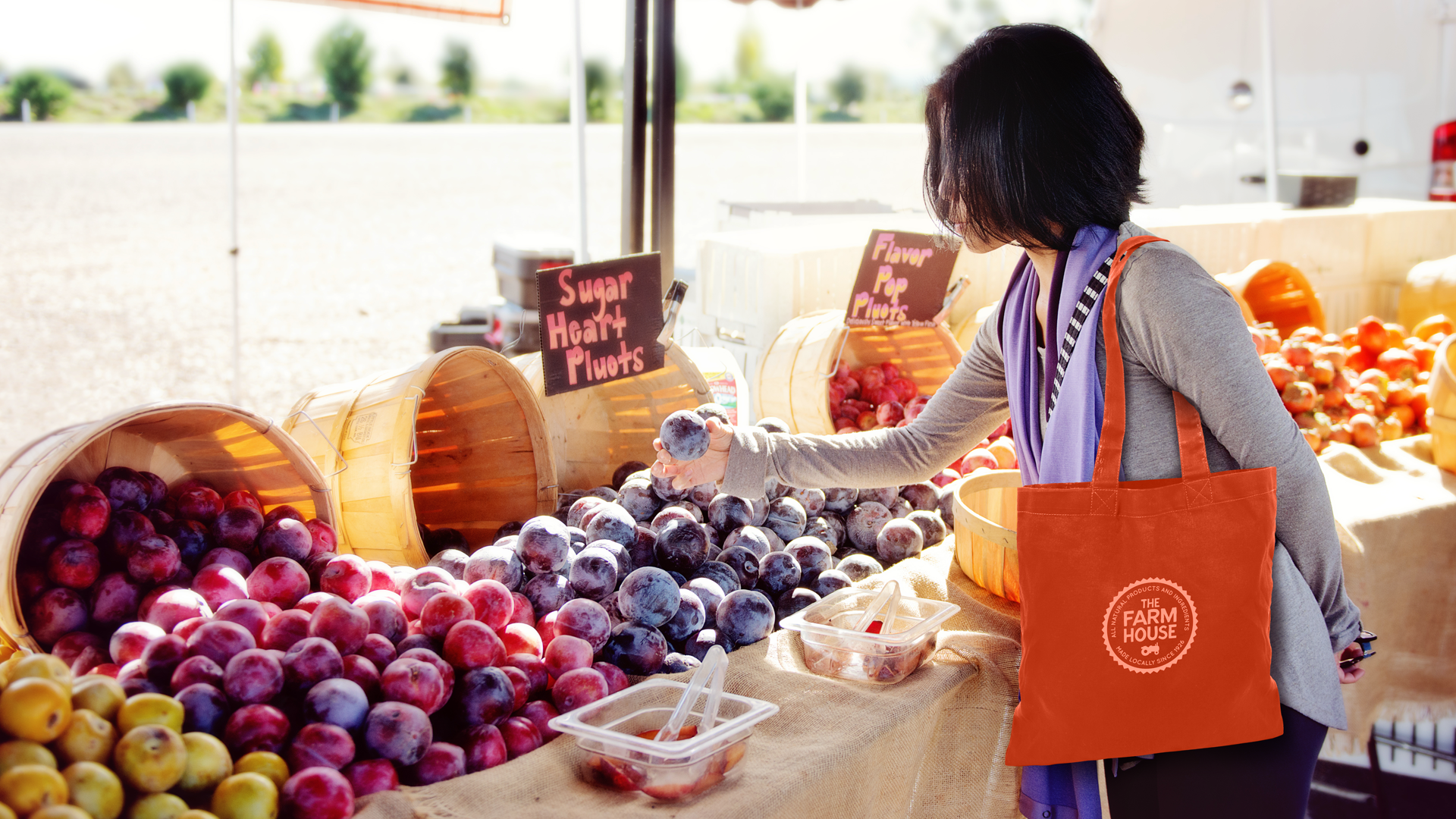 Colored Economy Tote