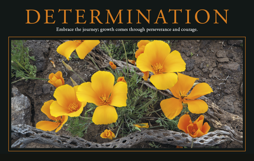 Triumph® Calendars Motivations Calendar 34