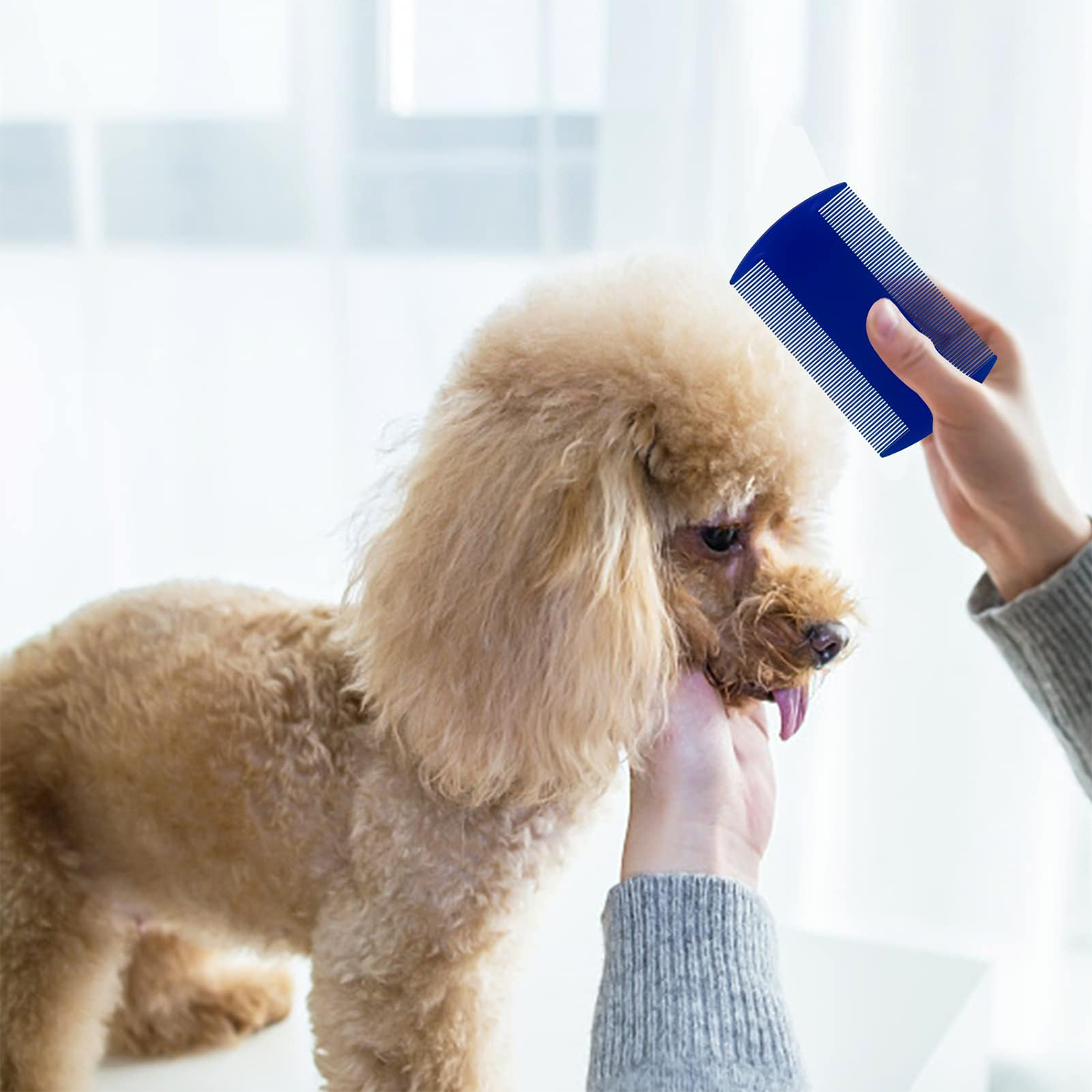 Pet Double-Sided Comb 5