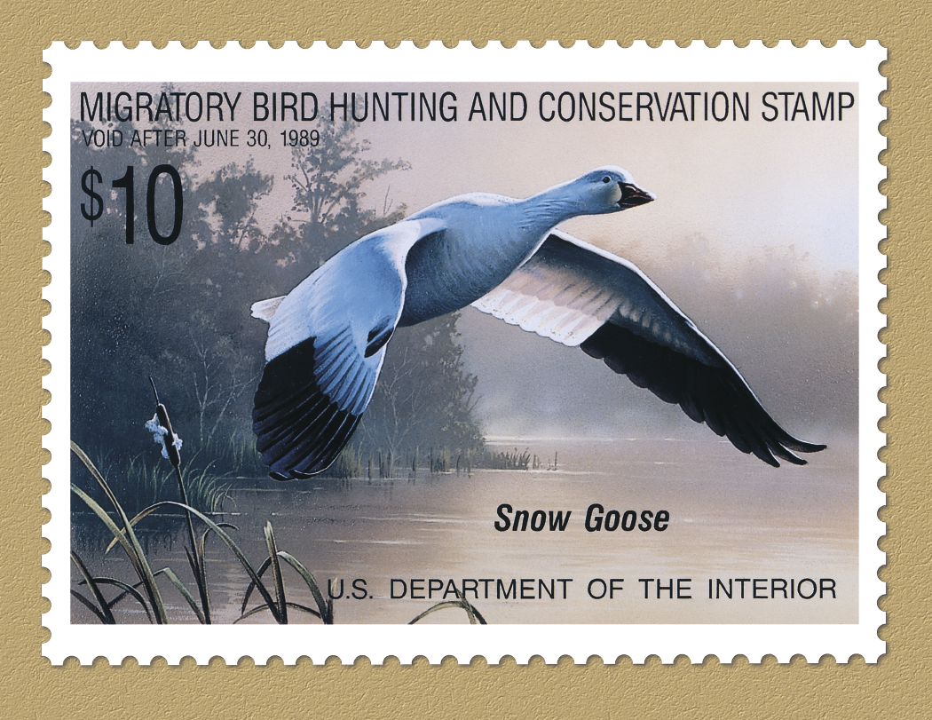 Triumph® Calendars Duck Stamps Calendar 41