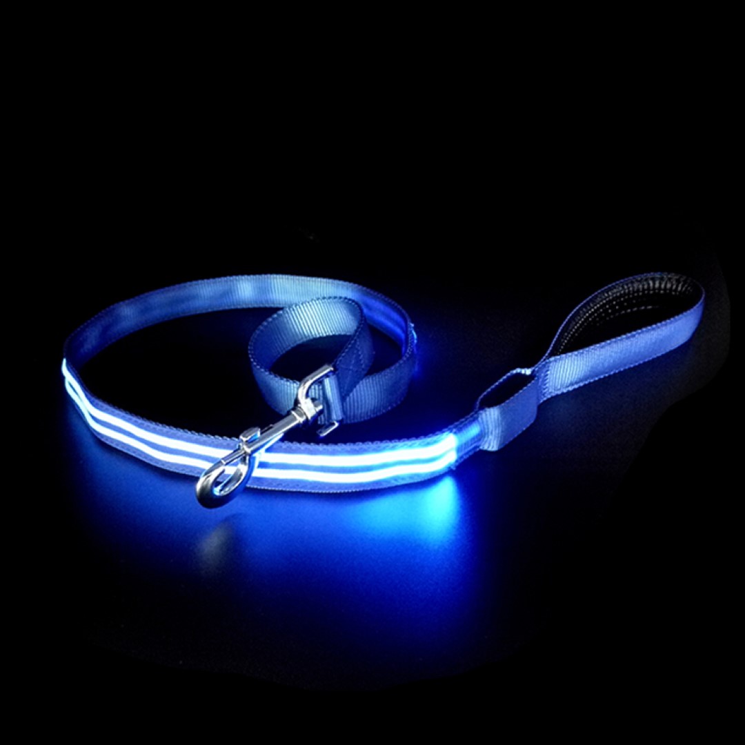 Dog Leash 2
