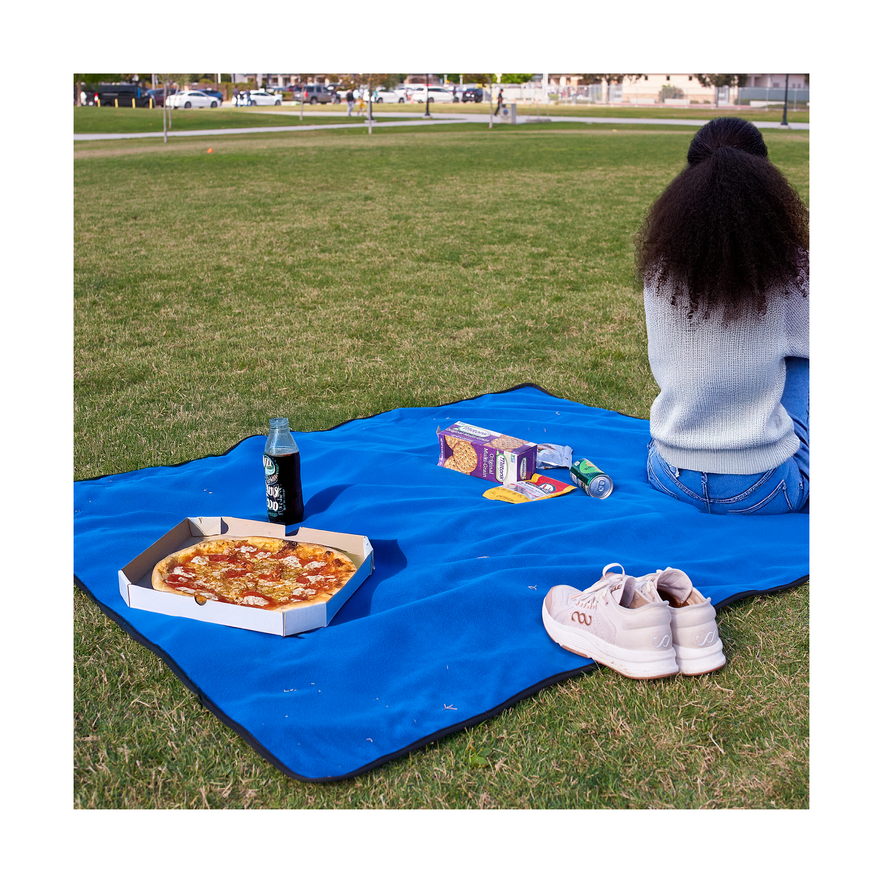 Fairview Picnic Blanket 31