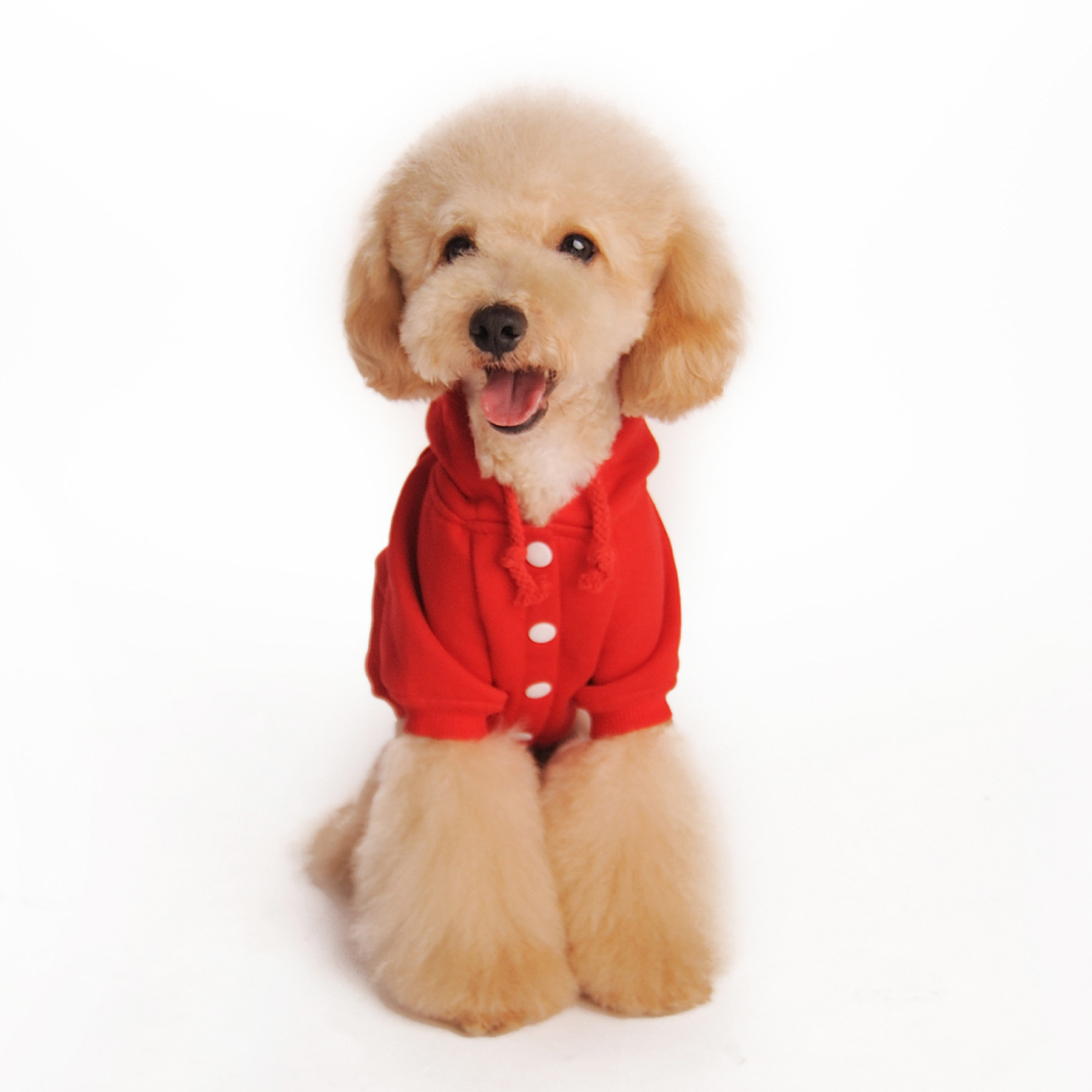 Dog Sweater Hoodie With Pockets 3