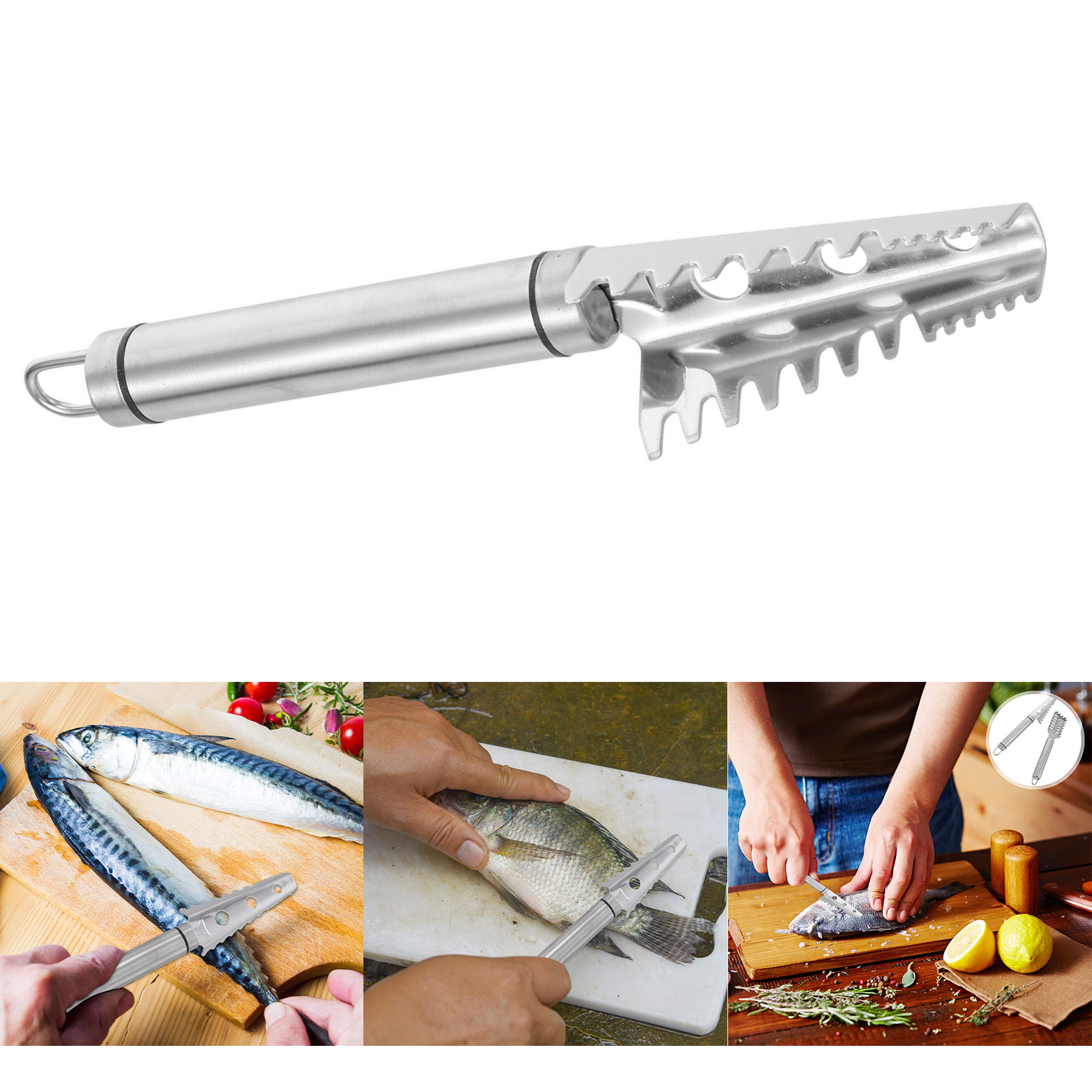 Specialty Tools Stainless Steel Fish Scale Remover 2