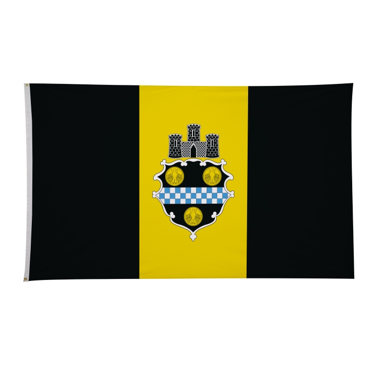 6' x 10' City Flags 47