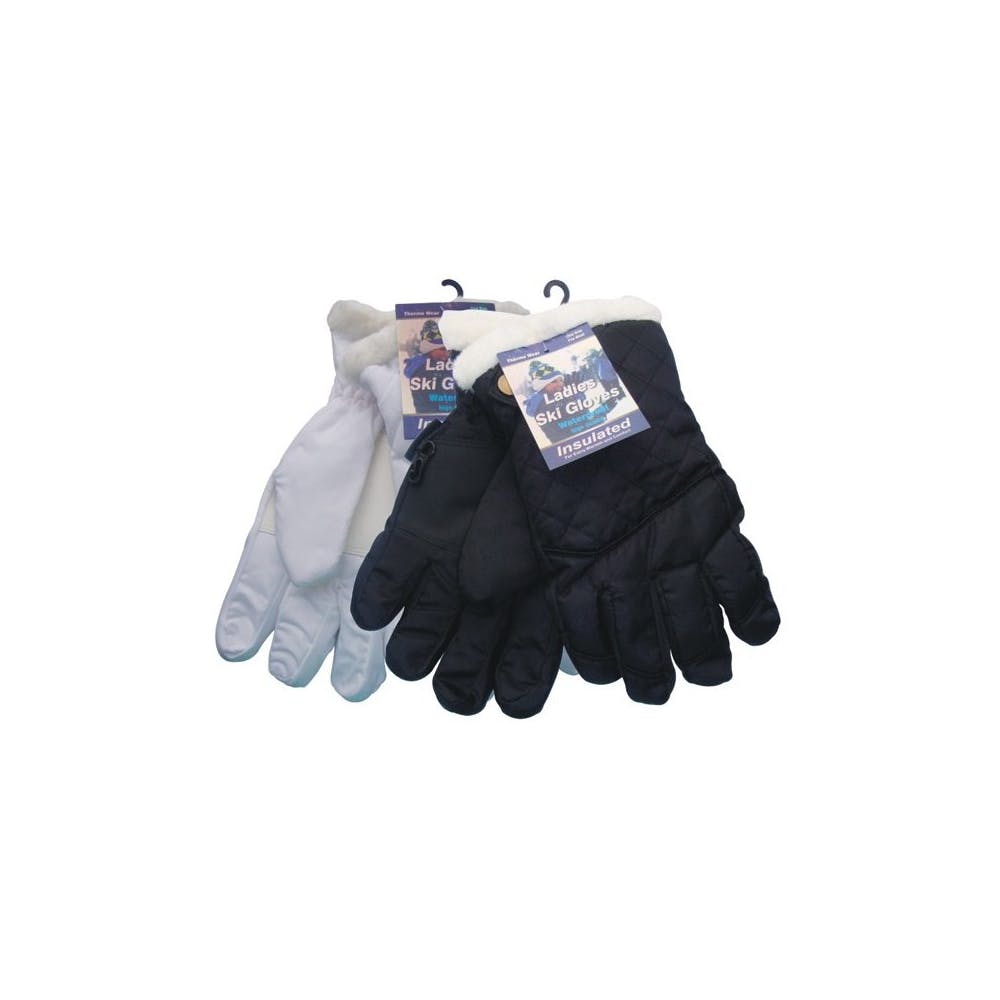 Women's Ski Gloves Assorted 1
