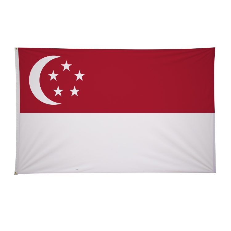 5' x 8' International Flags 291