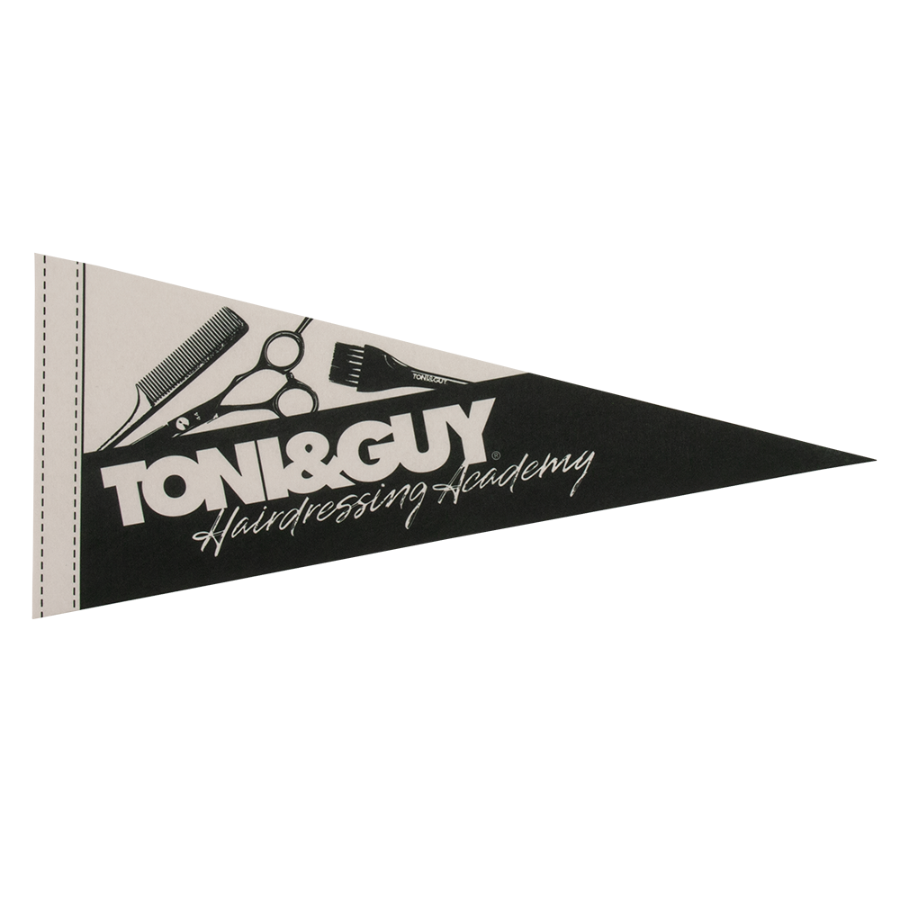 8" x 18" Full Color Felt Pennant, No Strip 3