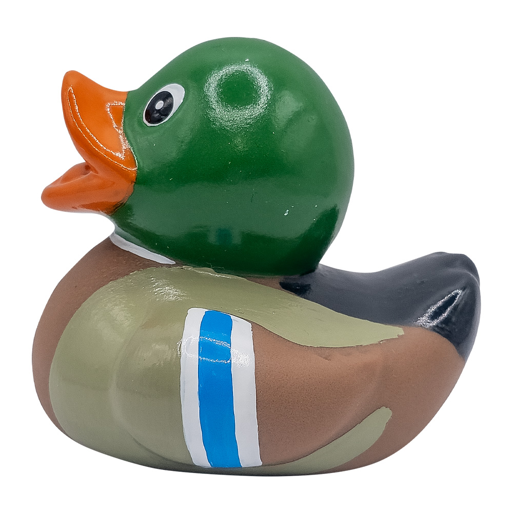 Mini Mallard Duck 4