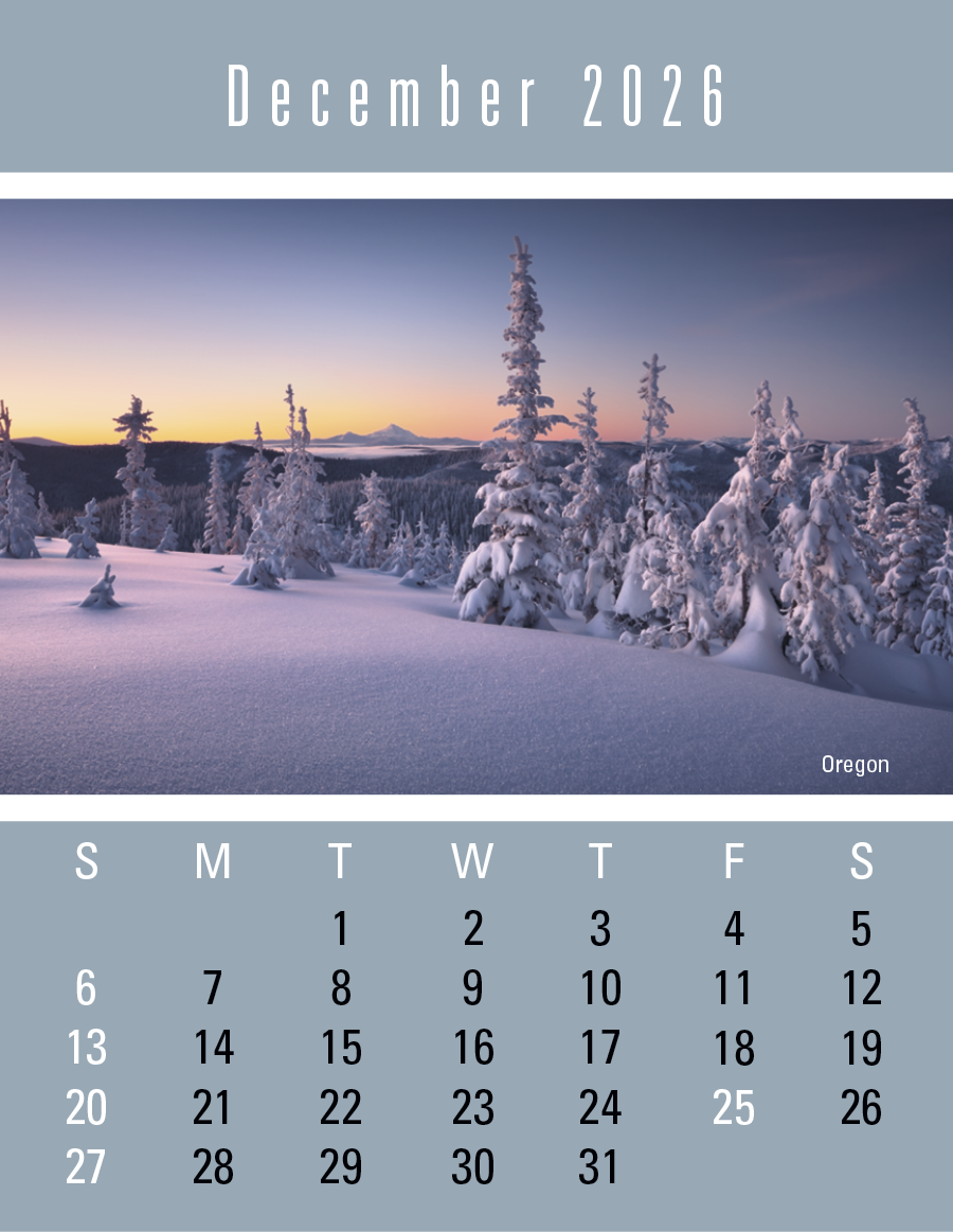 Triumph® Calendars Press-N-Stick Scenic Calendar 41