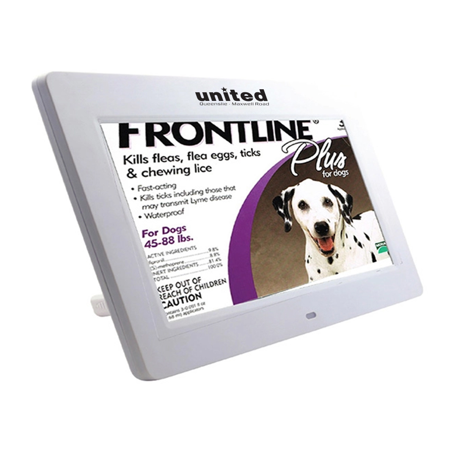 7" LCD Digital Photo Frame W/Glossy Finish 4