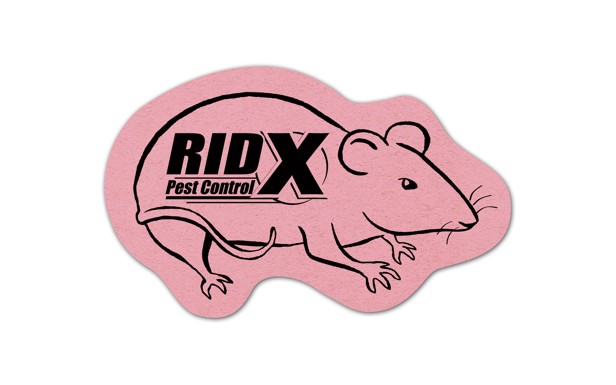 Rat/mouse Compressed Sponge 3