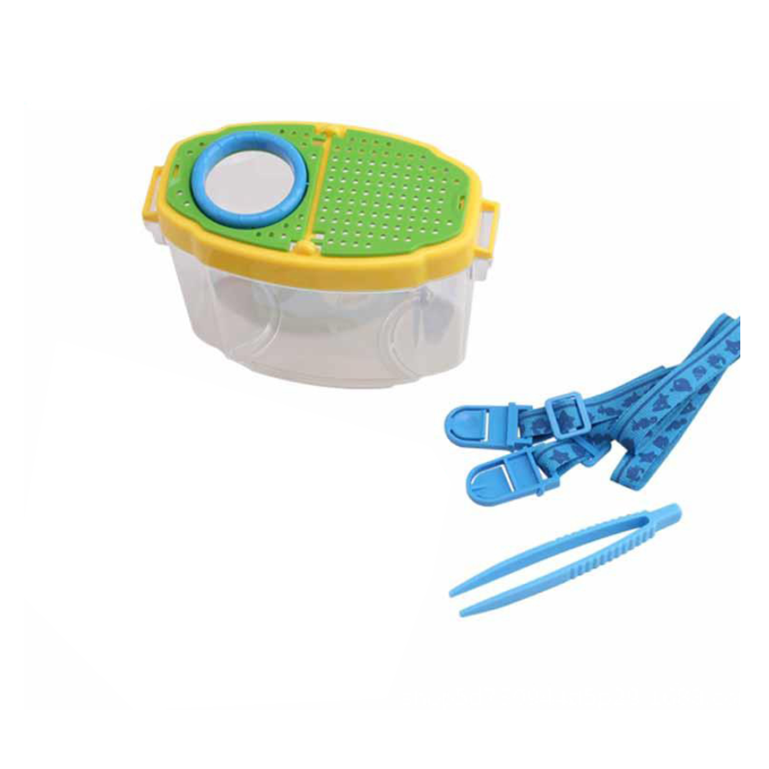 Transparent Insect Observation Box 2