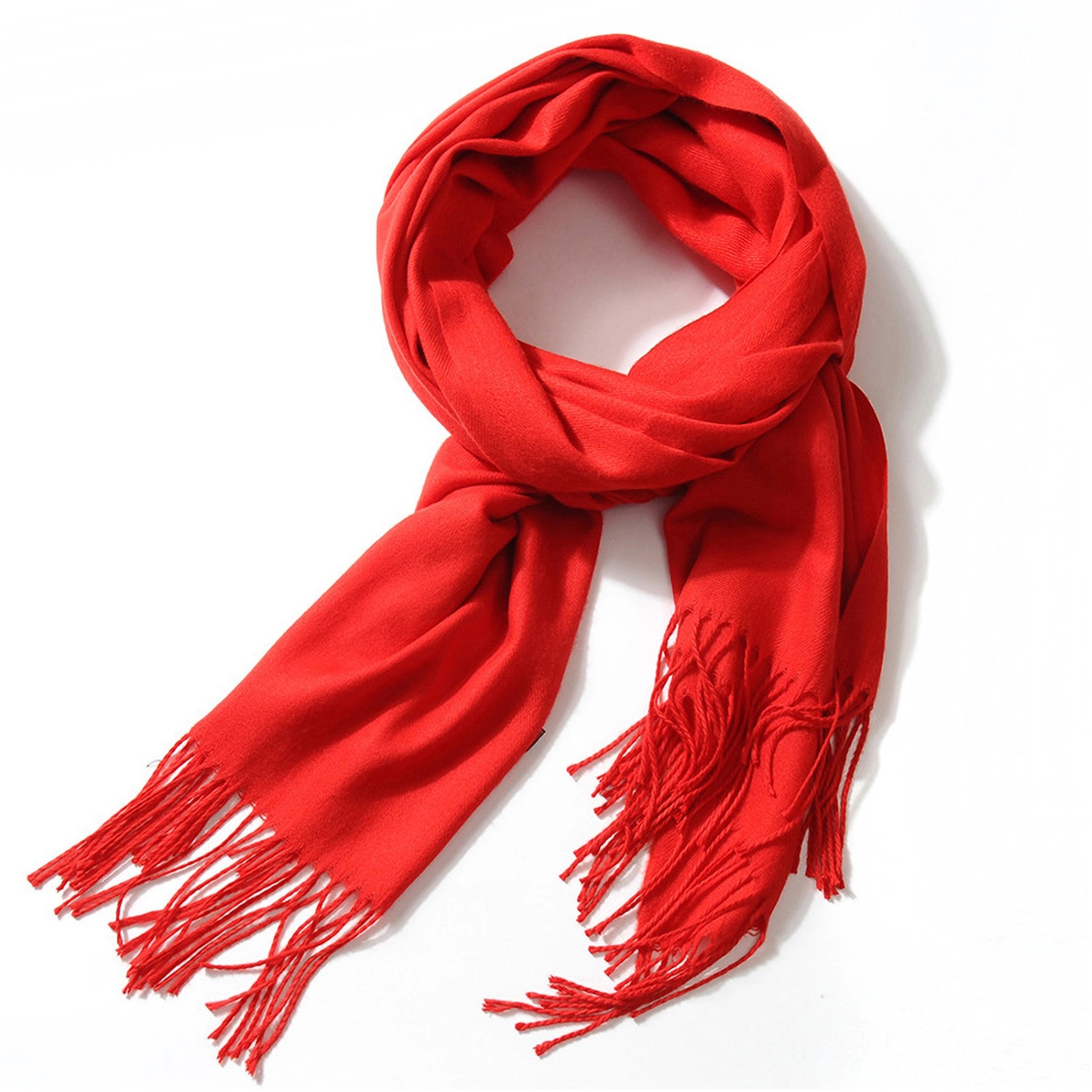 Cashmere Pashmina Woven Scarf With Fringes 3