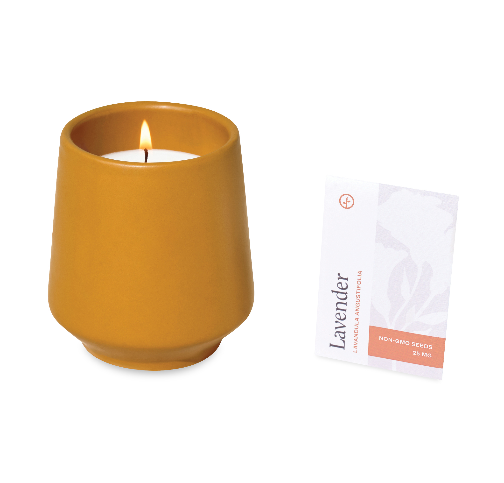 Modern Sprout® Rooted Candle 16