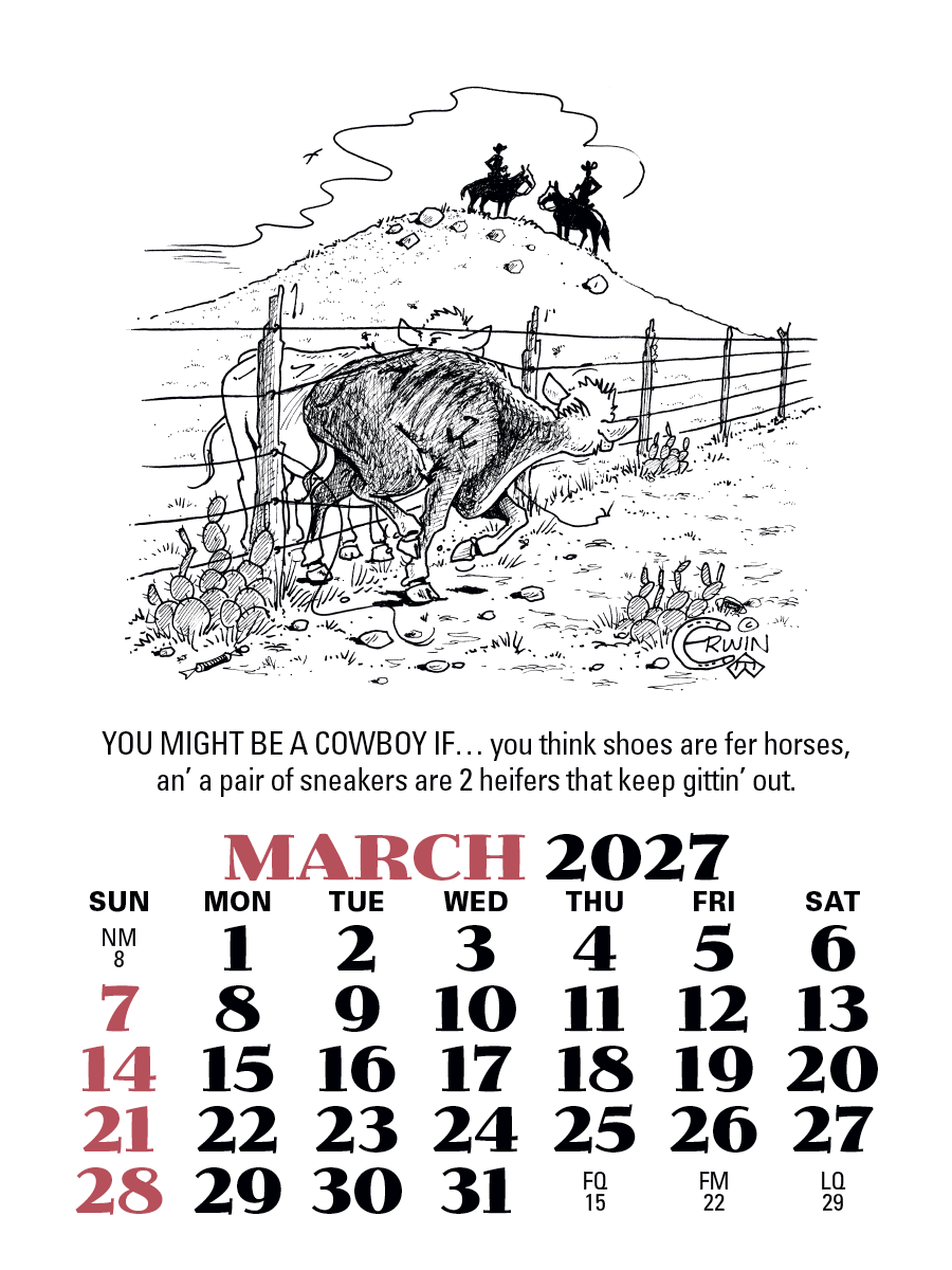 Triumph® Calendars Press-N-Stick Cowboy Calendar 618