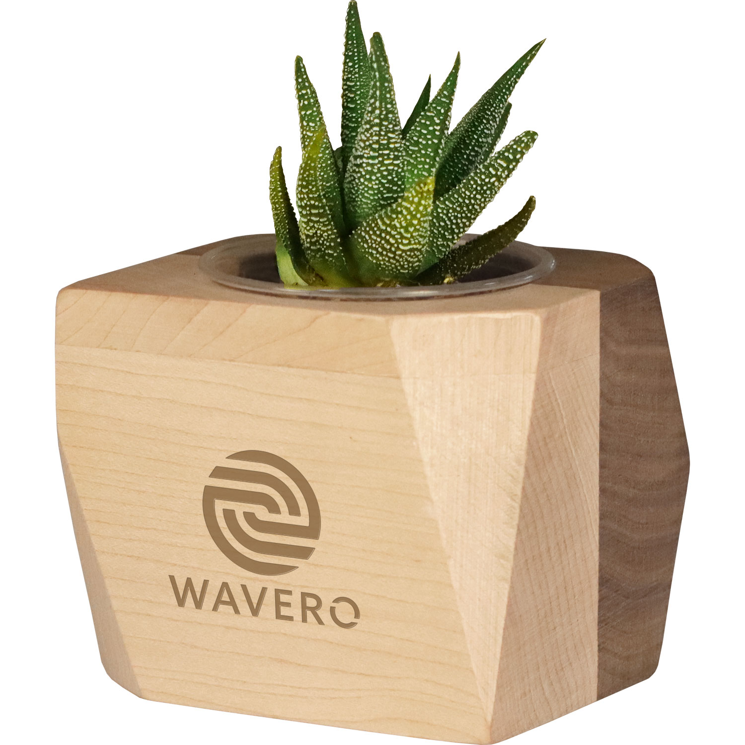 Geometric Wooden Planter with Succulent 5