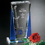 Sentinel Award 7