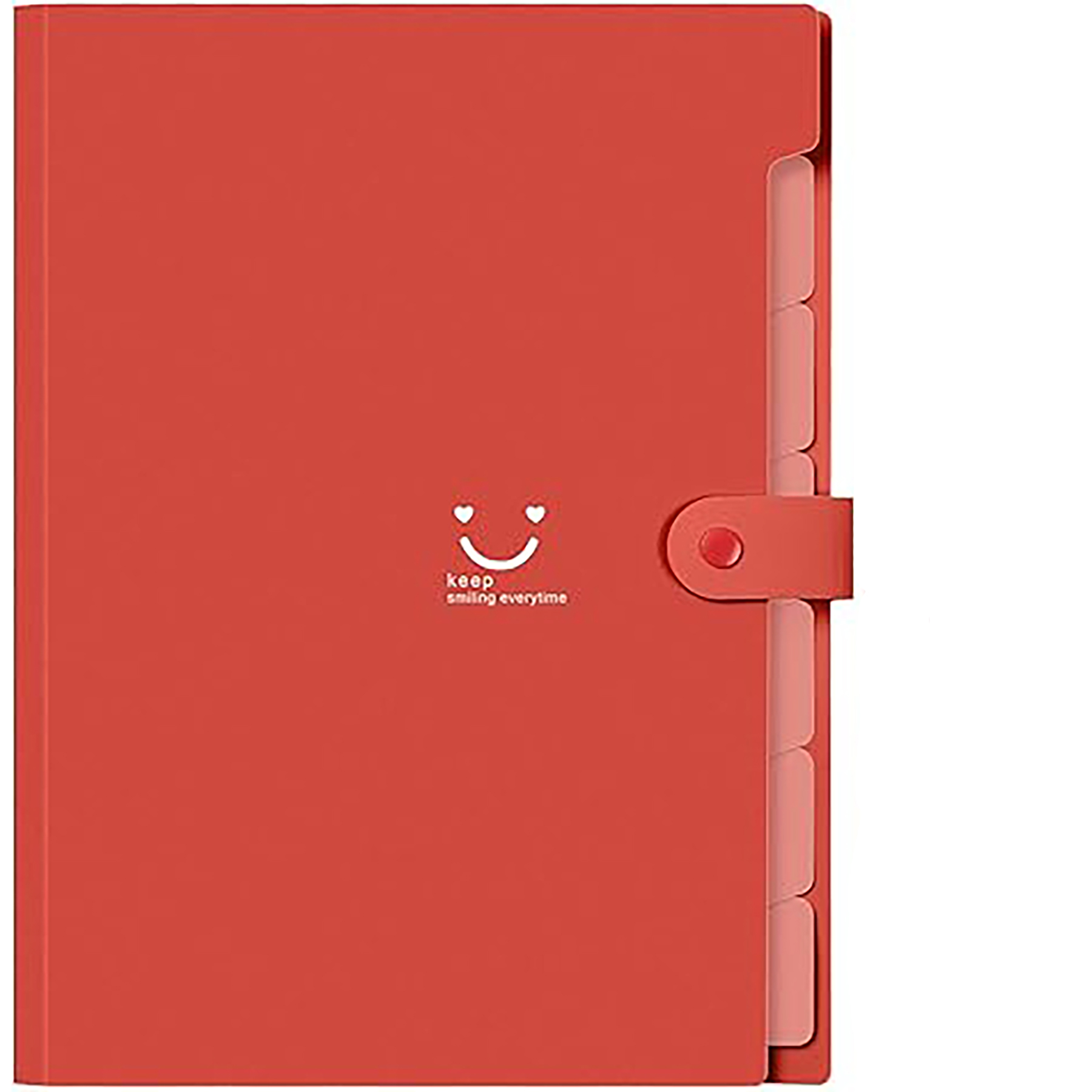 File Organizer with Labels 12
