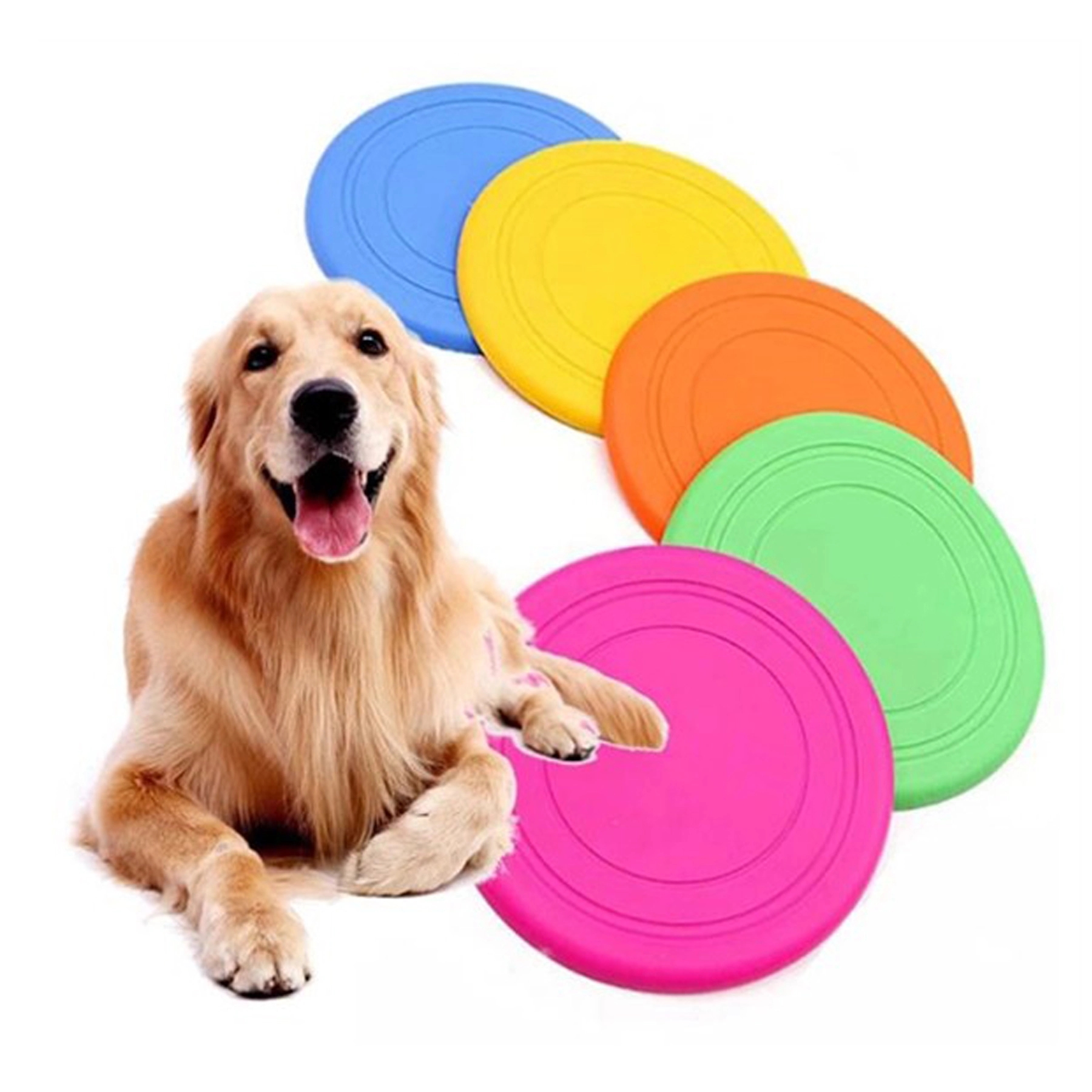 Dog Flying Disc 2