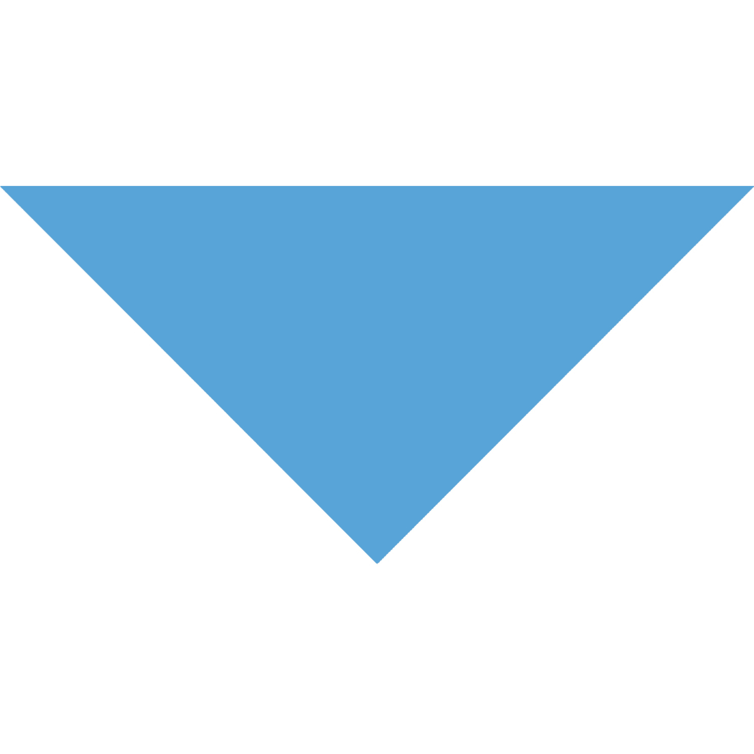 Small Triangle Pet Bandana w/ Screen Print 7