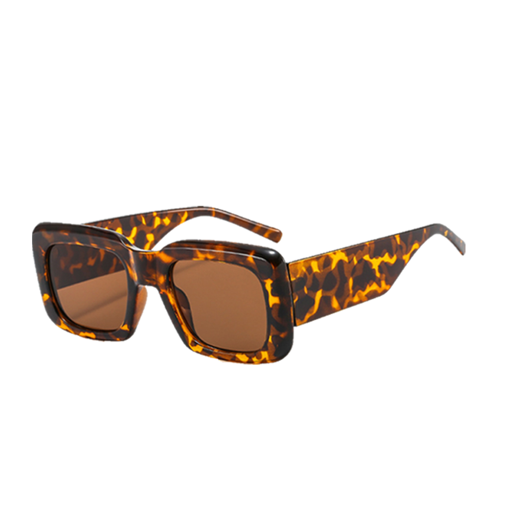 Cudy Sunglasses 10