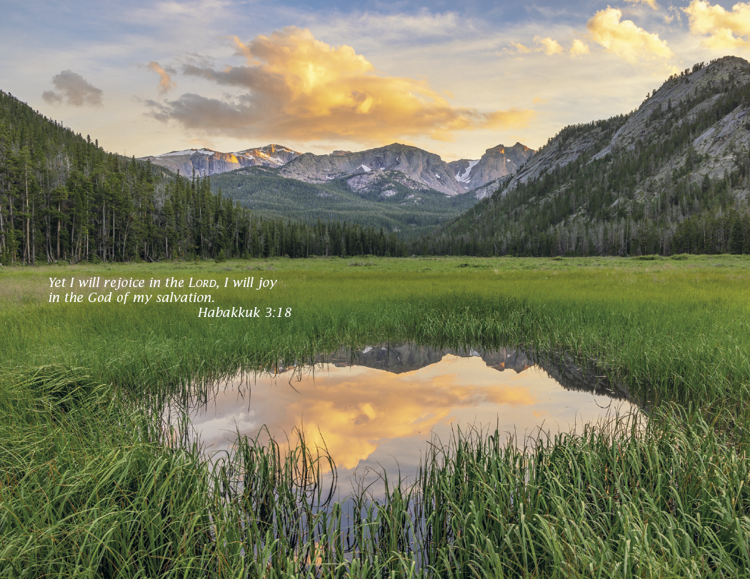 Triumph® Calendars Bible Passages Calendar 13