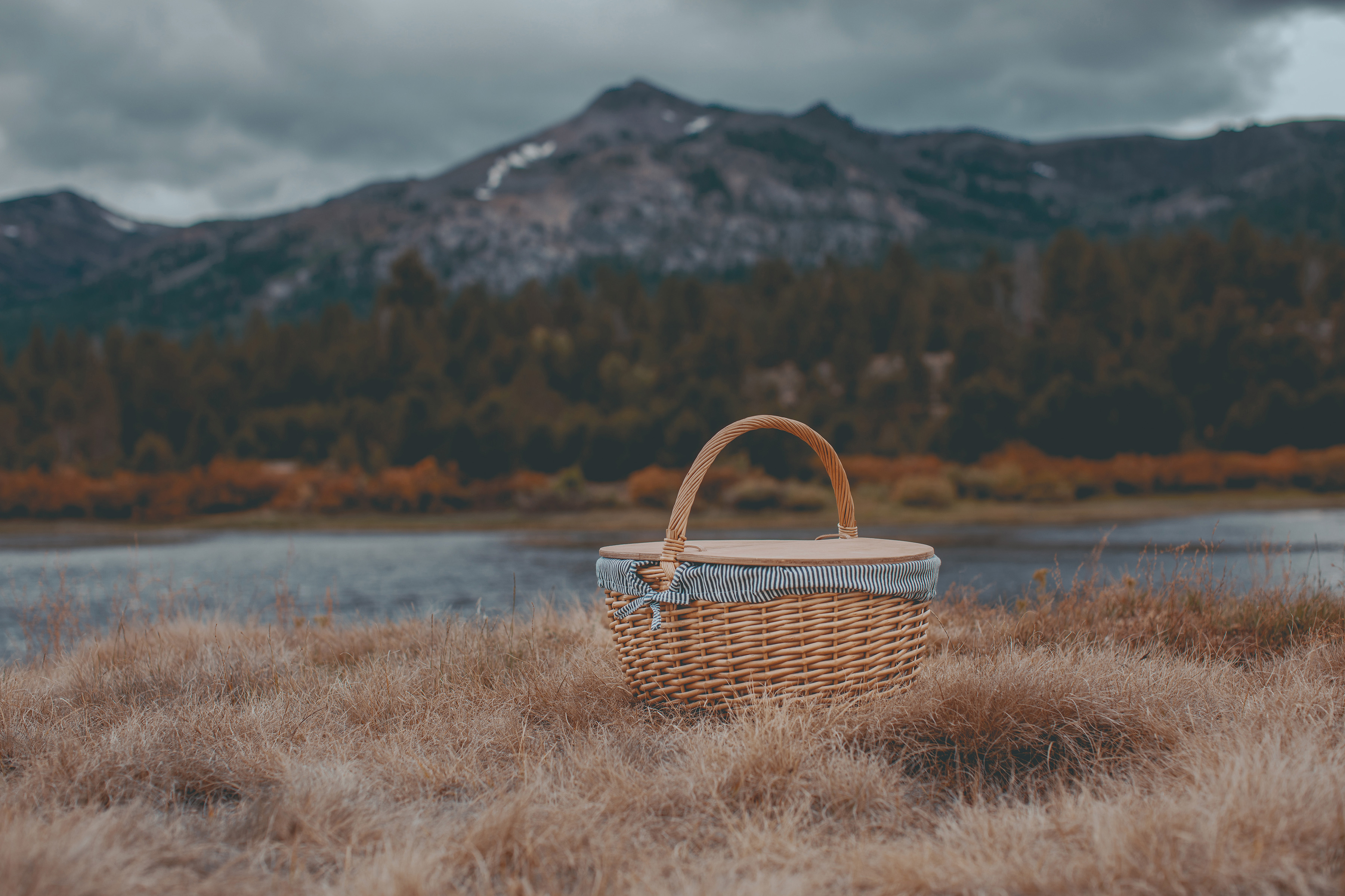 Country Picnic Basket 3
