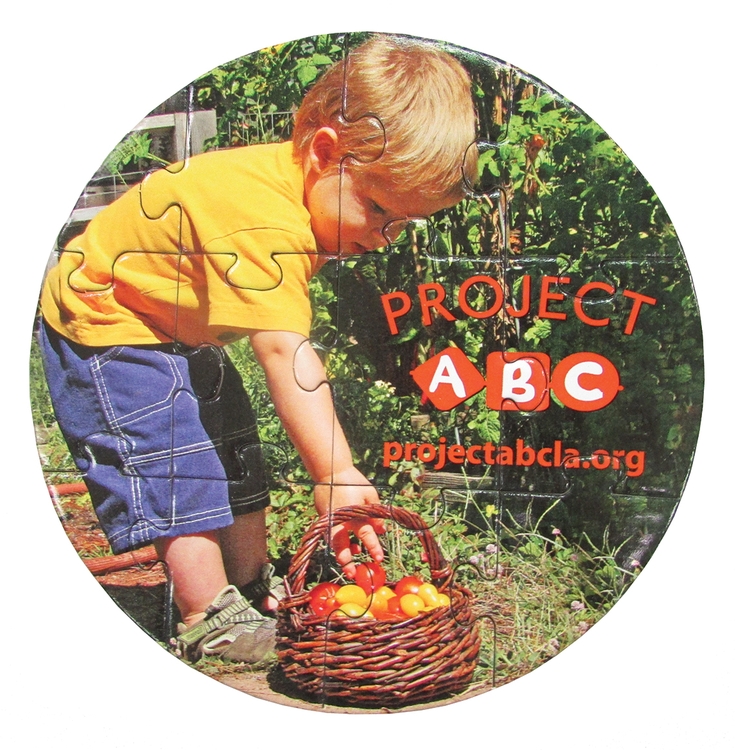 12 Pieces - 5 1/2" Diameter - Small Puzzle 1