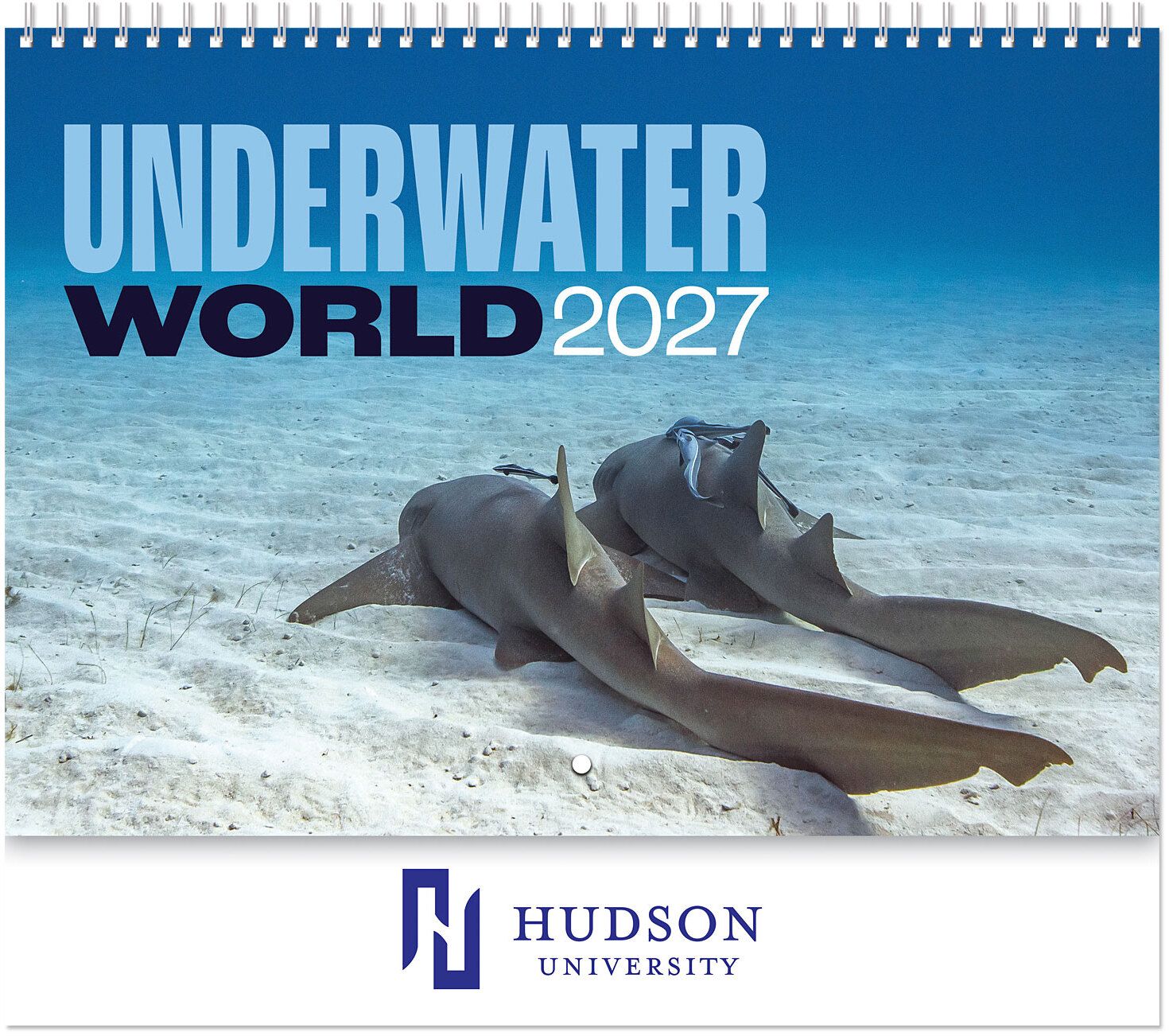 UNDERWATER WORLD SPIRAL WALL CALENDAR 11