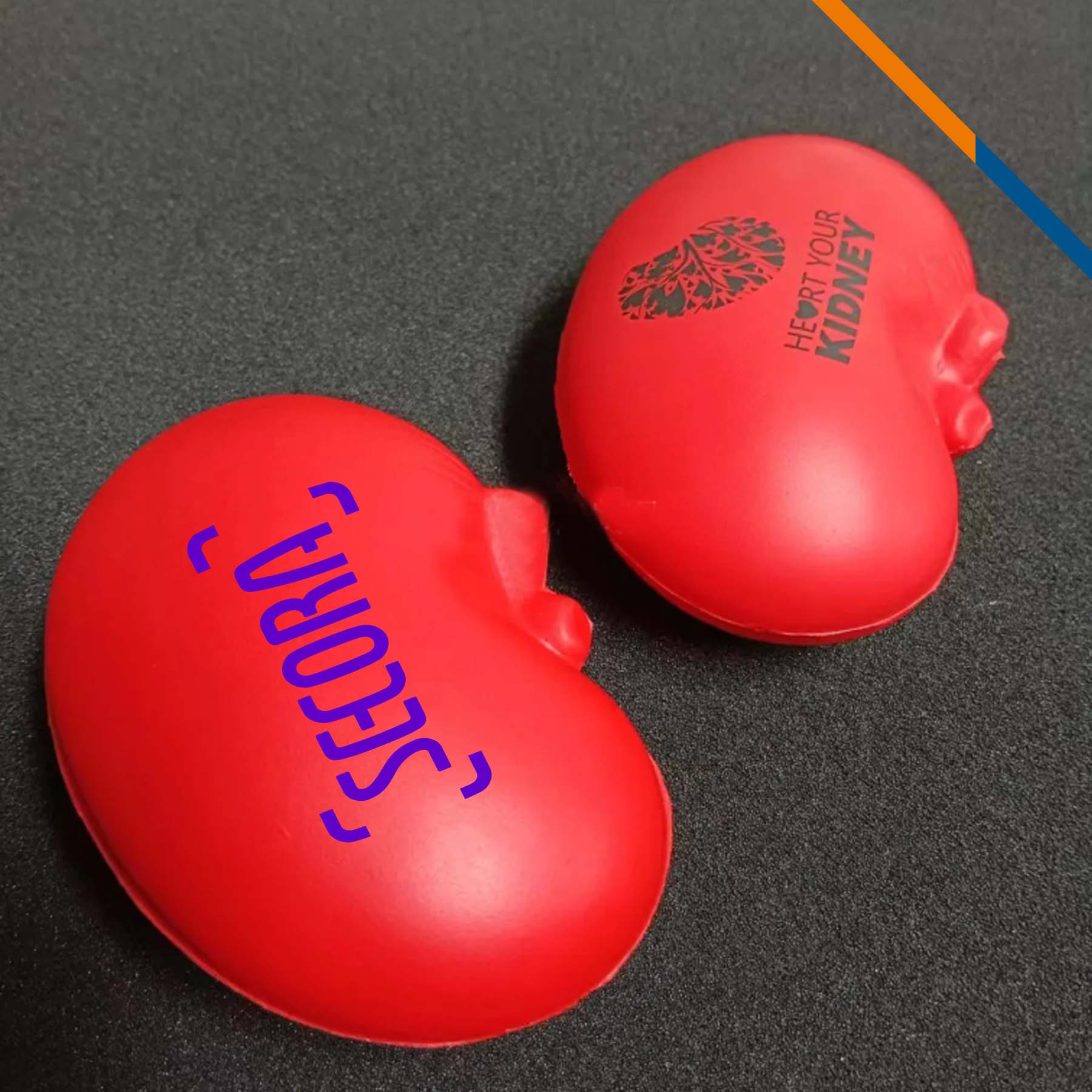 Jolia Kidney Stress Ball 4