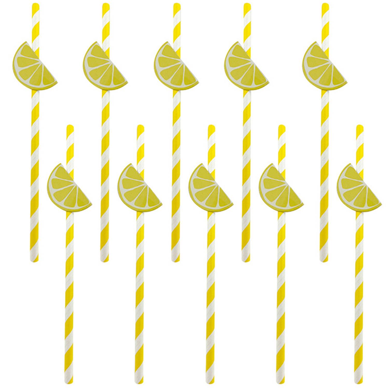 10PCS Fruit Themed Disposable Paper Straws 3