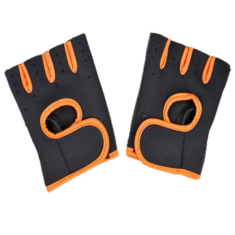 Riding Gloves 1