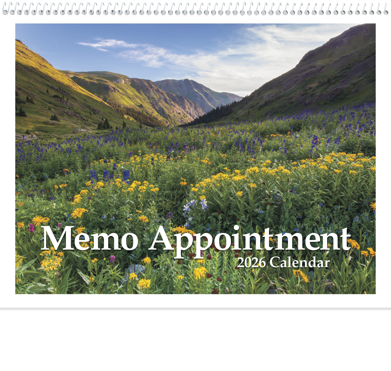 Triumph® Calendars Memo Appointment with Picture 38