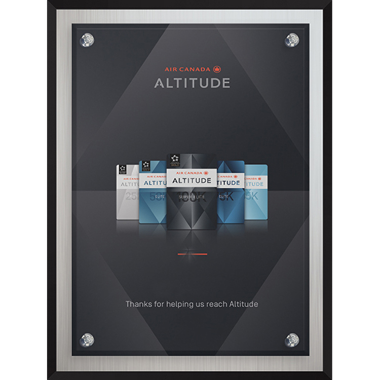 Econo Series Frosted Aluminum Plaque (6"x 8") (PhotoImage) 2