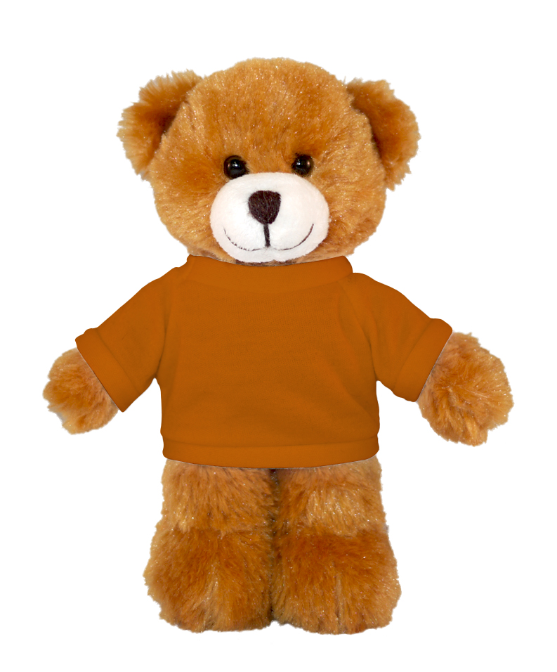 Mocha Bear with Tee 2