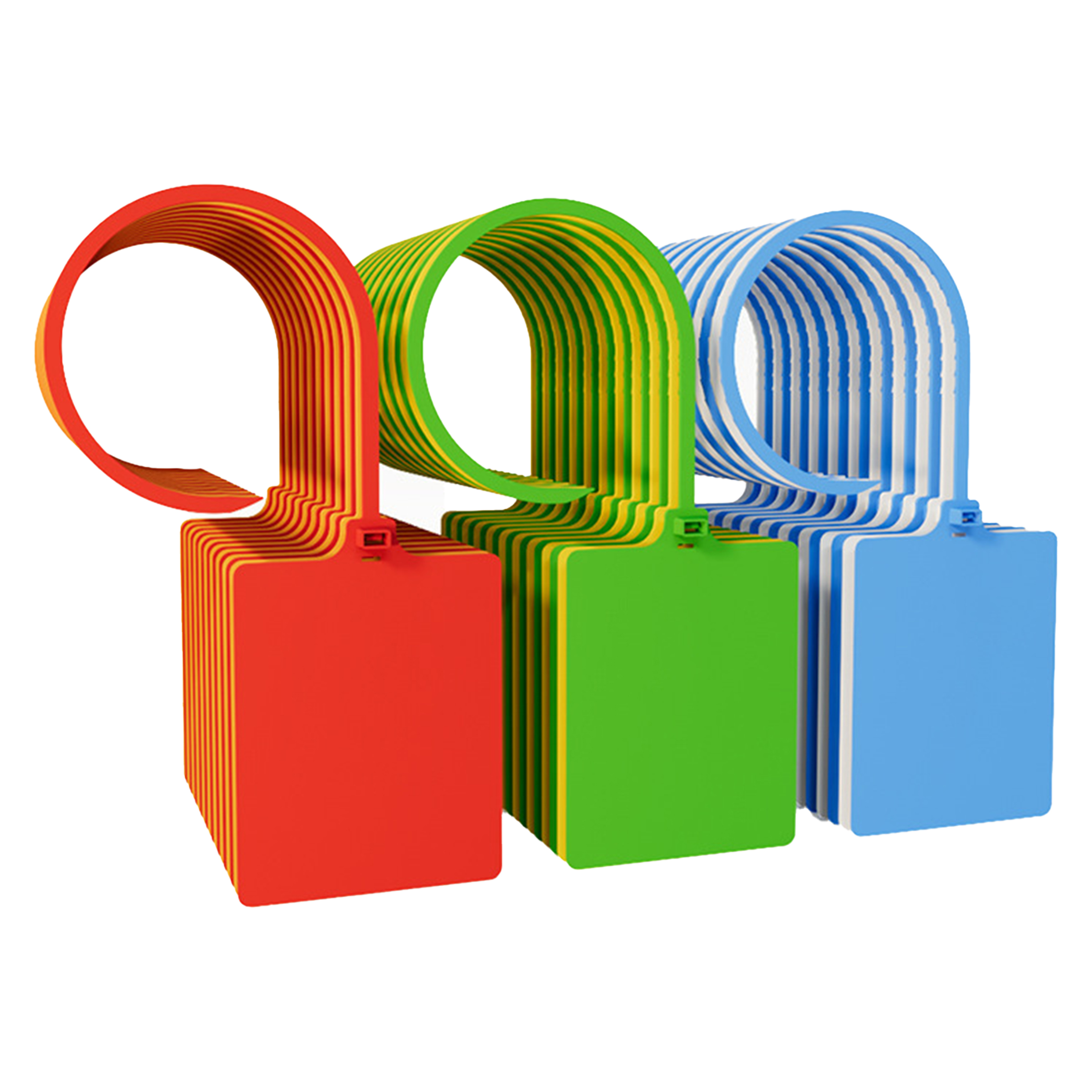 Disposable Seal Tag 10