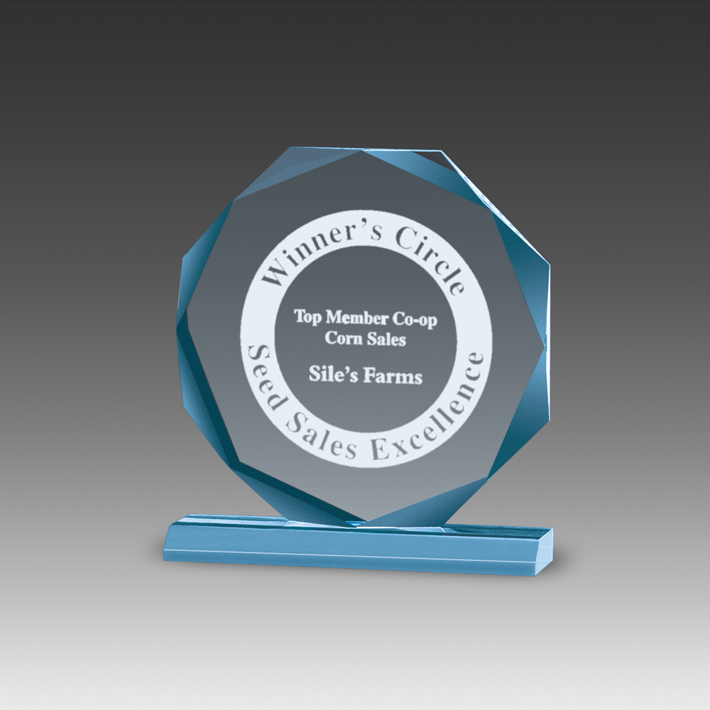 Premium Beveled Octagon Award (8"x8") 2