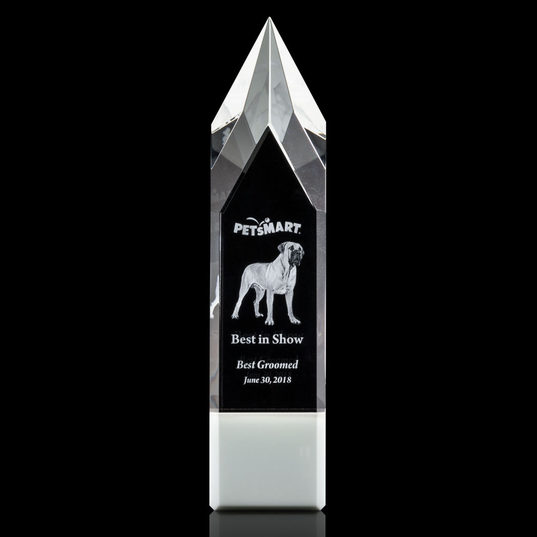Coventry 3D Award - White 2
