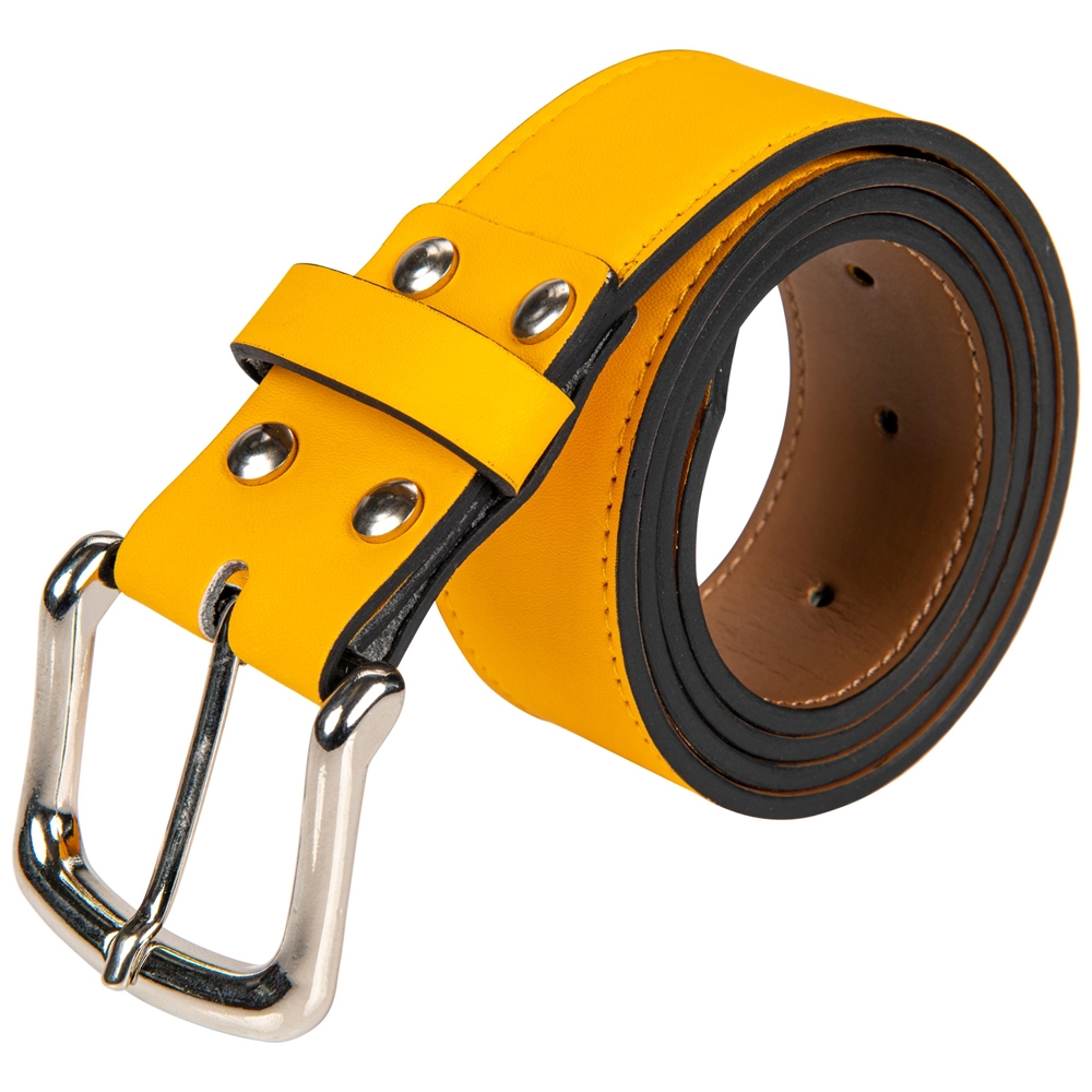 Classic Belt 1