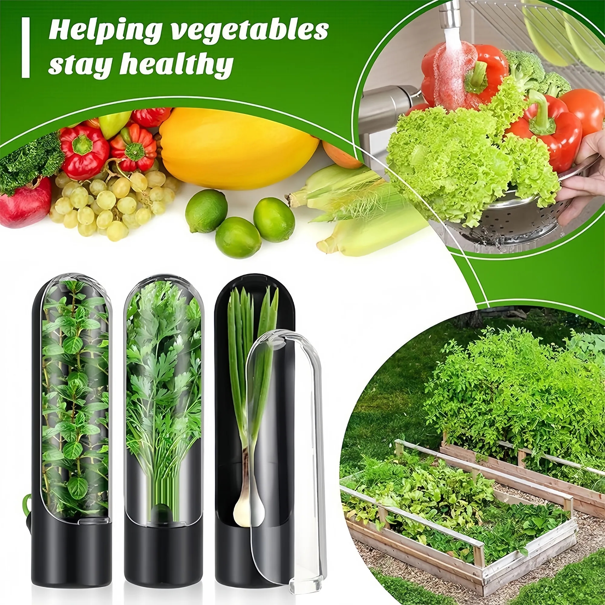 Vegetable Fresh-Keeper Container 5