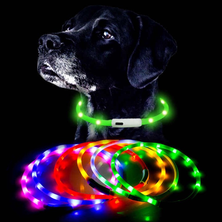 Led Dog Collar 6