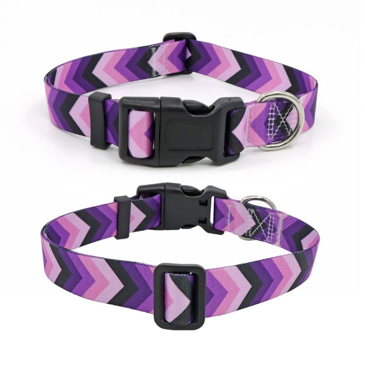 Dog Collar 4