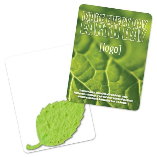 Mini-Gift Pack 11