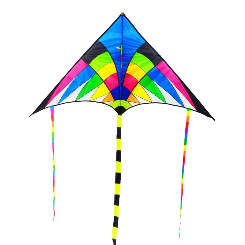 Xl Delta Jumbo Kite - 40" X 20" 3